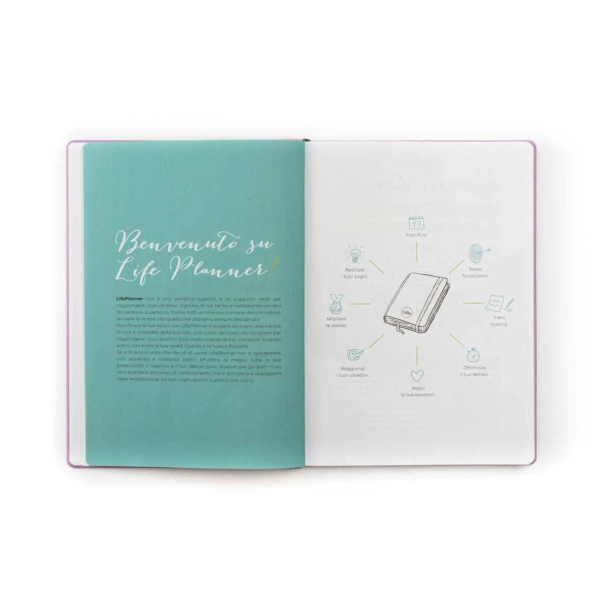 Agenda 12 mesi Grandi 2027 LIMITED EDITION | Constellation