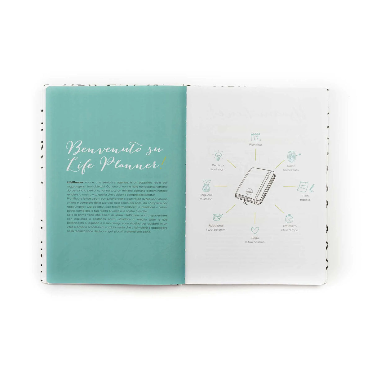 Agenda 12 mesi Grandi 2027 LIMITED EDITION | Heart Maze Doodle