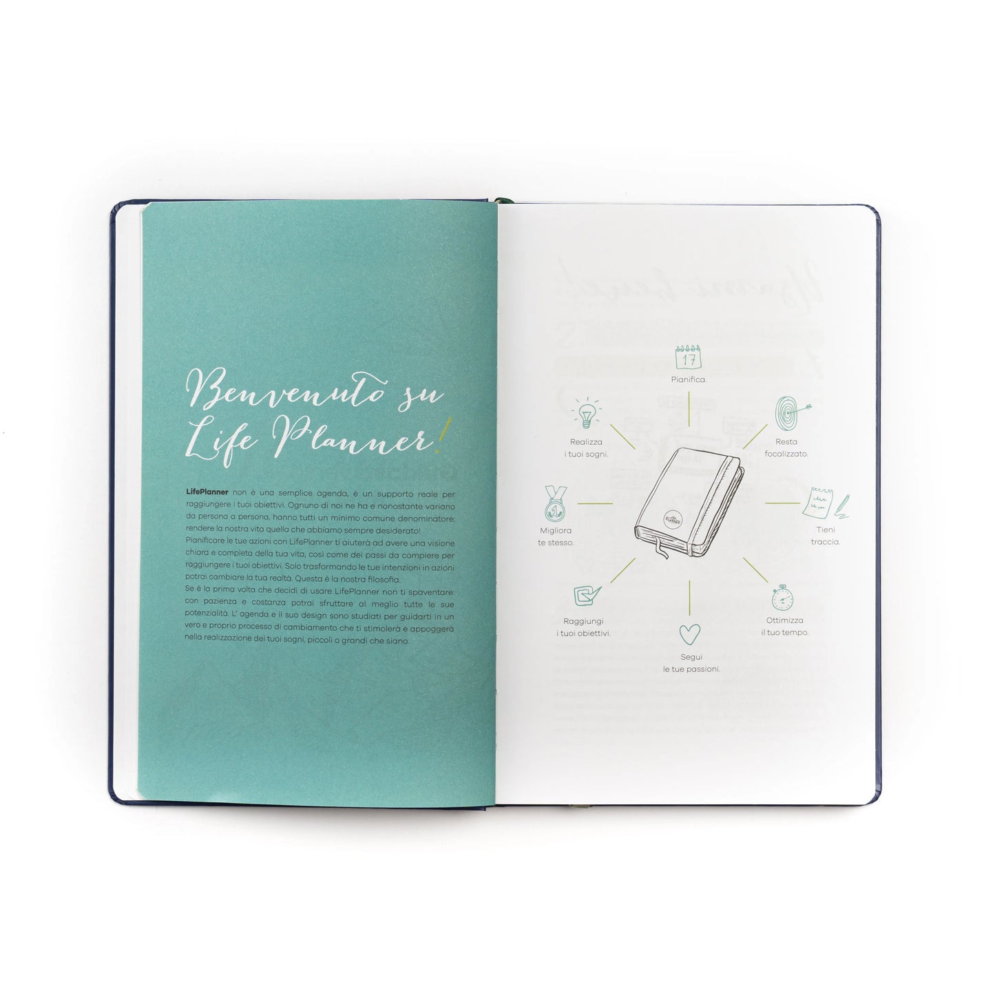 Agenda 12 mesi piccola 2027 LIMITED EDITION | Falling Stars