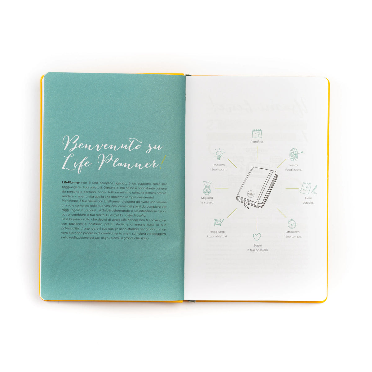 Agenda 12 mesi piccola 2027 LIMITED EDITION | Bee Positive