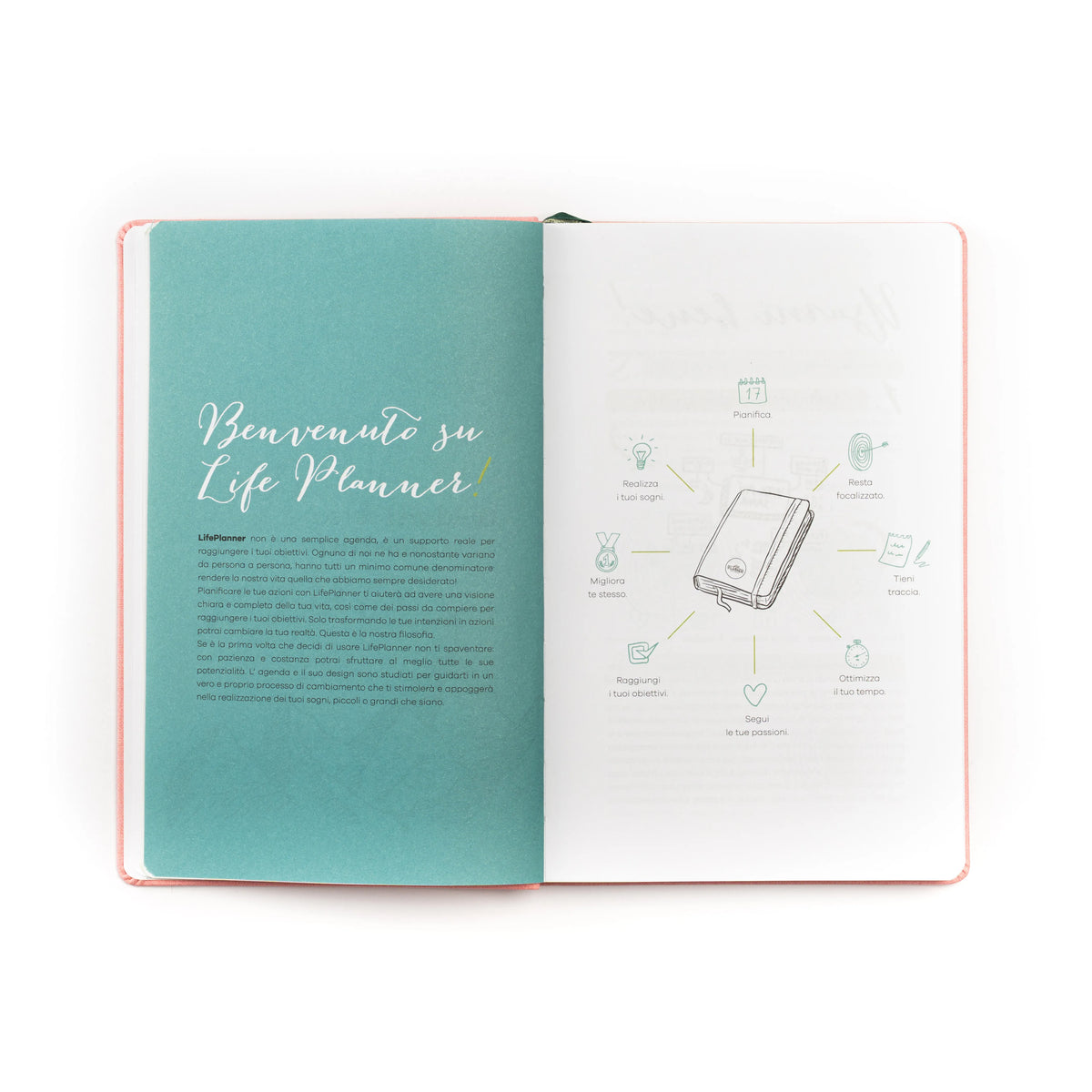 Agenda 12 mesi piccola 2027 | Light Pink