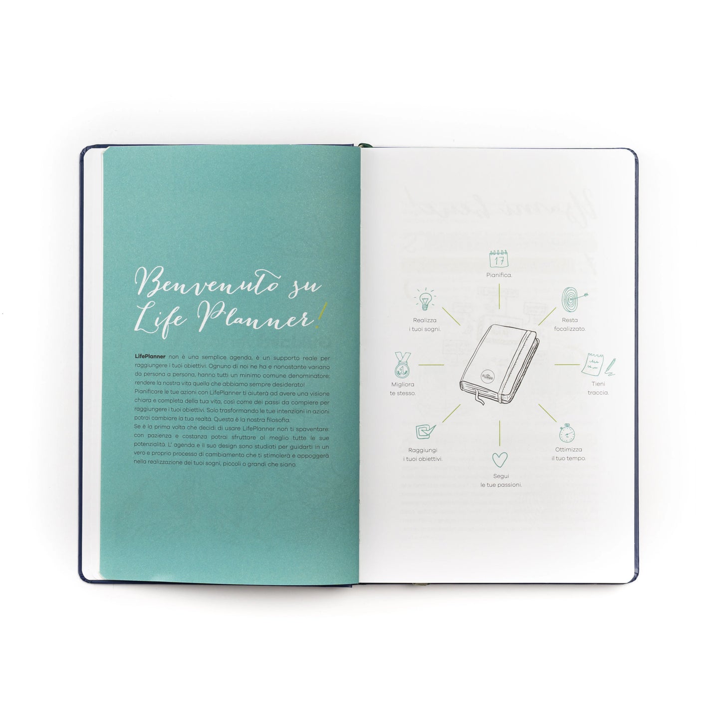 Agenda 16 mesi 2026-27 LIMITED EDITION | Falling Stars